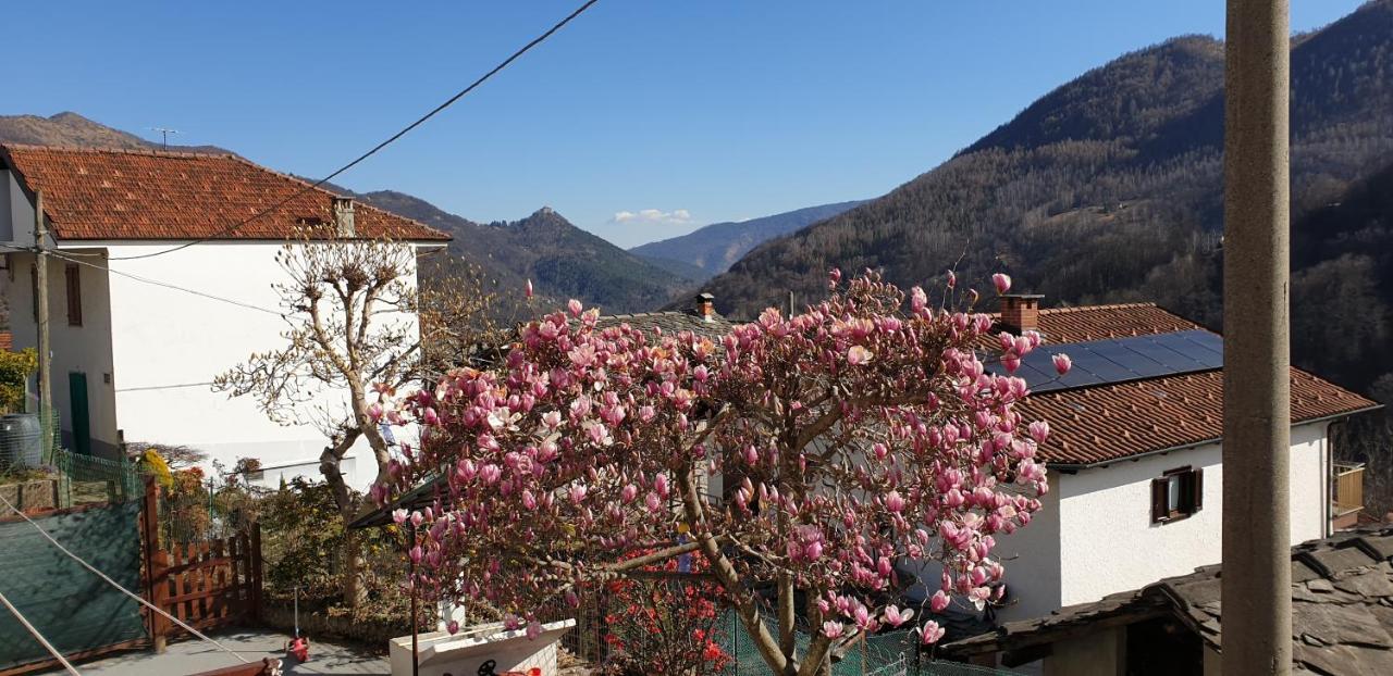 Casa Le Rondini Apartment Mezzenile Bagian luar foto
